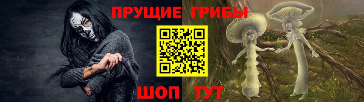 Саратов  купить   Вход с VPN  Псилоцибиновые грибы Cubensis  Галлюциногенные грибы MAGIC MUSHROOMS 